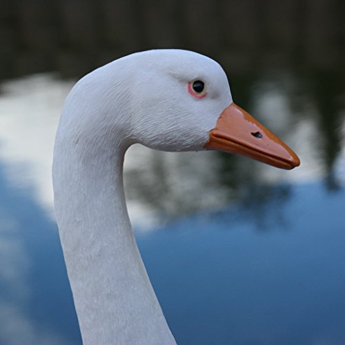 Dekofigur Gans Ente Vogel Erpel Tierfigur Deko Ostern Weihnachten GartenTeich - 4