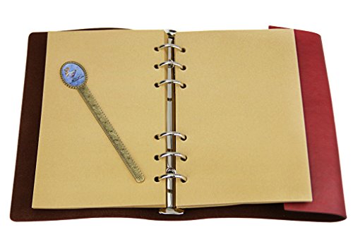 Liying Retro Skizzenblock Tagebuch Notizbuch Softcover DIN A5 Kraftpapier Blanko Geschenkbucher Reisetagebuch Rose - 5