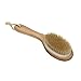 FACILLA® Full Body Natural Bristle Dry Skin Exfoliation Brush Detox Fight Cellulite Tool
