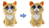 Feisty Pets are a line of plush animals with "stuffed attitude"! And Feisty Pets are back with all new characters and fun expressions! Give Princess Pottymouth the Cat a squeeze and watch her go derpy!