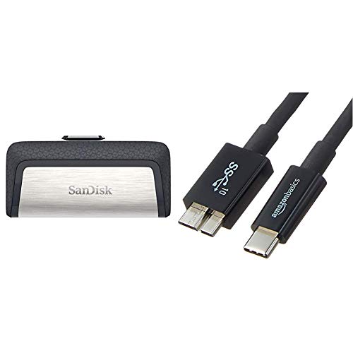Sandisk type c