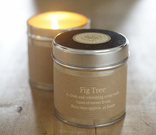 Tin Candle - Fig Tree by St Eval by St Eval Candle Co Ltd