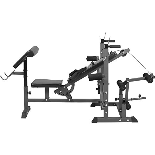 GYRONETICS E-Series Universal Multi-Schrägbank Kraftstation mit Beincurler, Dipper, Bauchtrainer, Curler, Butterflys / Muskeltraining – Hantelbank für Langhantel Kurzhantel Training - 3