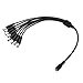 Produktbild adaptare 93538 Niedervolt Y-Kabel (DC-Hohlbuchse auf 8x Hohlstecker), 5,5x2,1mm, 40 cm, schwarz