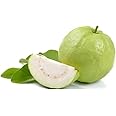 Veenas Fresh Guava Thailand Big | 500G | 100% Fresh Vegetable