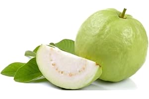 Veenas Fresh Guava Thailand Big | 500G | 100% Fresh Vegetable