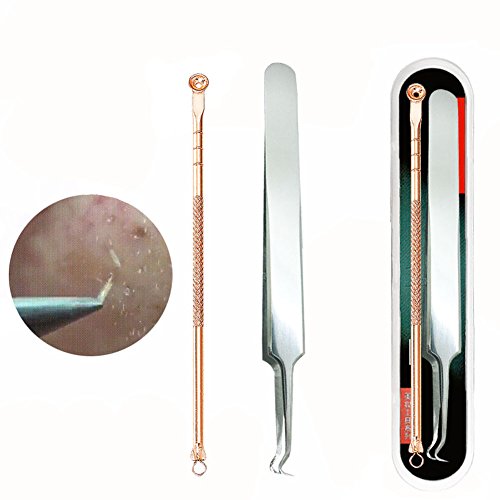 1Set(2PCS)Professional Stainless Steel Blackhead Needle Kit Zit Pimple Comedone Extractor Tools Fat Granule Removal Kit With Metal Case for Acne Treatment and Blemish Removal Whitehead Popping (A)