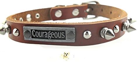 olivaou PU Leather Spiked Studded Dog Collar Protecting Daring PETS from others Biting cool design with words courageous (brown)