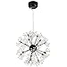 Produktbild ACACVA Kronleuchter Licht, 18 Lichter schwarzes Ceiling Licht, Ball Pendant Light mit Blumenschmalz Wie Glühbirnen für Schlafzimmer Wohnzimmer Esszimmer