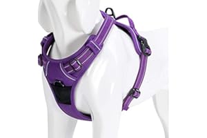 WINHYEPET True Love Harnais pour Chien Harnais Anti Traction pour Chien Réfléchissant Réglable, Harnais Rembourré Sécurisé, Harnais pour Chien Moyen et Grand, TLH5651(Violet,XL)