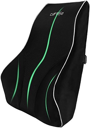 Carttiya Lower Back Support Cushion Memory Foam Lumbar Support Pad for Chair Therapy Lumbar Pillow for Office/Home/Car/Travel Nursing Waist and Spine, Relieve &amp; Prevent Upper &amp; Lower Back Pain