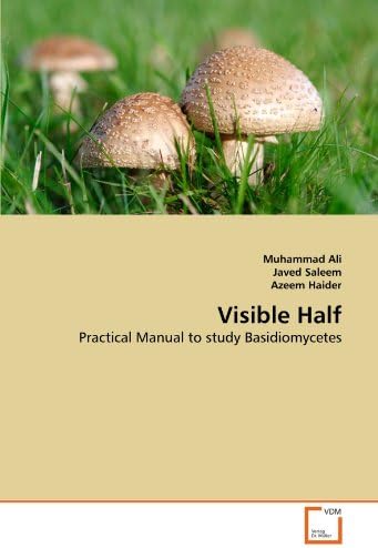 Visible Half