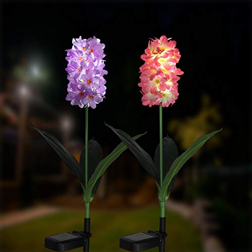 XLUX Outdoor Solar Light Garden, Solar Garden Lights with LED Hyacinth Lights, Decoration Lights for Garden, Lawn, Patio, Field Path, Pack of 2 (Purple and Pink)