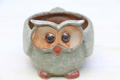 UName Micro Landscape Succulent Plants Creative Flower Planters, Mini Plants Pot, Ceramics Decoration, Handmade, Small Plant Containers, Owl Design Succulent Planter.(circle eye),UK235