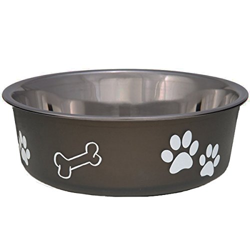 Small Dog Bowl Amazon.co.uk
