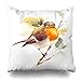 Produktbild Monicago Zierkissenbezüge, Throw Pillow Covers, Watercolor Fall Bird Rob Branch Kids Hand Red Painting American Artistic Design Home Decor Pillowcase Square Size 18" x 18" Cushion Case