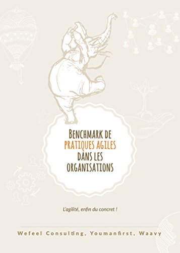 Benchmark de pratiques agiles dans les organisations: Illustrations concrètes et photos de voyage