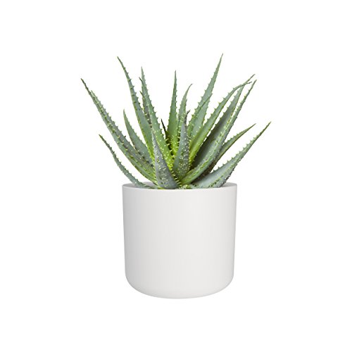 elho B.for Soft Rund Blumentopf 25cm – Weiss - 2