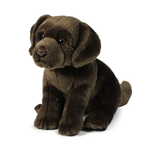 chocolate labrador soft toy