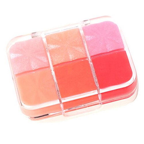 Spritech(TM) New High Quality Lasting Moisturizing 6 Colors Lip Gloss Palette Makeup Kit Set With Free Brush by Spritech