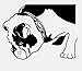 Produktbild Wandaufkleber  Interessanter Brite die Bulldogge für Wohnzimmer-Abziehbild PVC-Wand Sticker55Cm * 40.3Cm