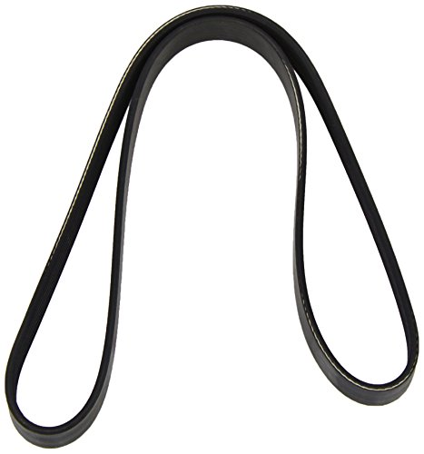 Dayco 6PK1076 Correa trapecial poli V