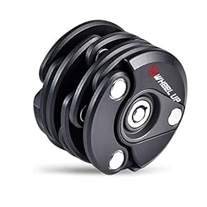 rear wheel bike lock