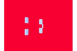 FTF - FENSTERTECHNIK Roto Abdeckkappen Serie NT in weiß Bandseite K für Mittelband 208600 208598 (Abdeckkappe Bandseite)