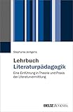 Image de Lehrbuch Literaturpädagogik: Eine Einführung in Theorie und Praxis der Literaturvermittl