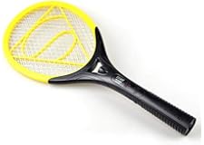 Racket zapper law and flies