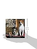Image de 101 Uses for a Jack Russell