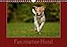 Faszination Hund (Wandkalender 2014 DIN A4 quer): Der treuste Begleiter des Menschen von seiner schönsten Seite. (Monatskalender, 14 Seiten) by