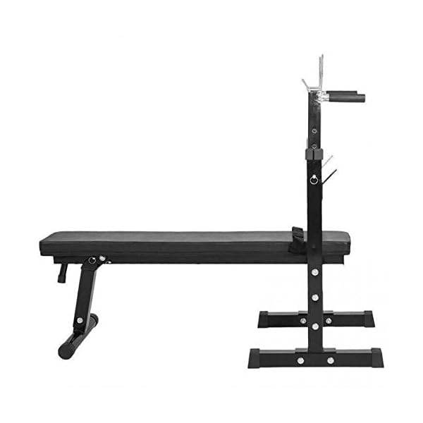 Gorilla Sports Banc De Musculation Gs006 Set D Halteres 97 5 Kg Fitness Gorilla Sports Banc De Musculation Gs006 Set D Halteres 97 5 Kg Fitness