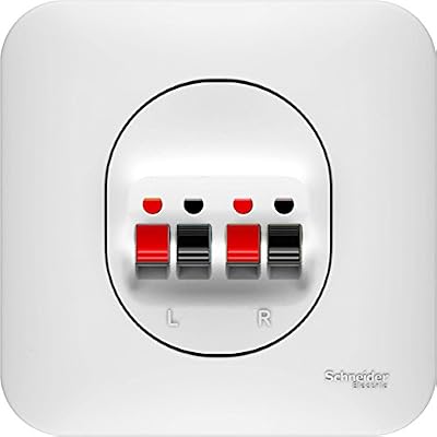 Schneider Electric Prise haut-parleur Ovalis, blanc, SCHNEIDER ELECTRIC