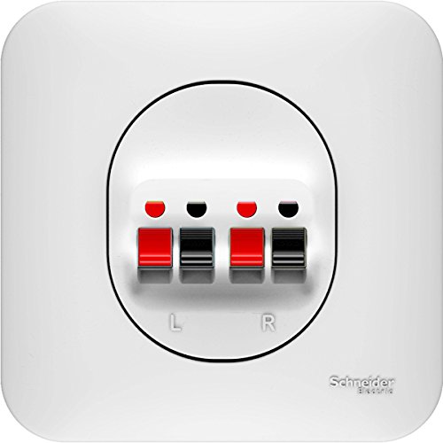 Schneider Electric SC5S262488 Prise hauts Parleurs Double ovalis, 250 V, Blanc