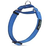Dazzber-Nylon-Martingale-Collari-per-Cani-Regolabile-Durevole-No-Fuga-Facile-Camminare-Colore-Solido-Collare-per-Cani-Taglia-GrandeMedia-Piccola