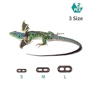 DaricowathX 2 Juegos de Correa Ajustable de dragón con Forma de ala Fresca, 3 tamaños, S, M, L