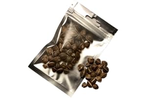 GIOIA SHRIMP 50 Graines de Moringa/Alimentation pour crevette d'aquarium