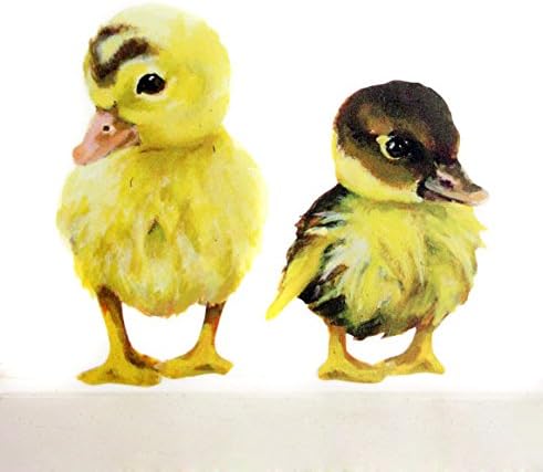 Little Duckling Wall Stickers (decal) Bathroom Decor