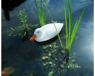 Altadex m231433 – Duck Decorative White 43 cm