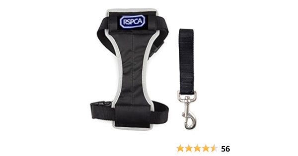 rspca dog harness