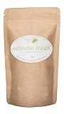 Artemisia Annua Blätter | Einjähriger Beifuß | Sweet Wormwood - 2