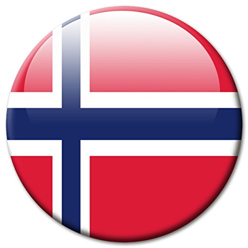 Magnet Flagge Norwegen - Länder Reise Souvenir Fahne Norway Ø 50 mm - Kühlschrankmagnet mit Motiv Flagge Land Kongeriket Norge - Magnete Länderfahne Noreg für Magnettafel Pinnwand Magnetpinnwand Memoboard Whiteboard - Original GUMA Magneticum