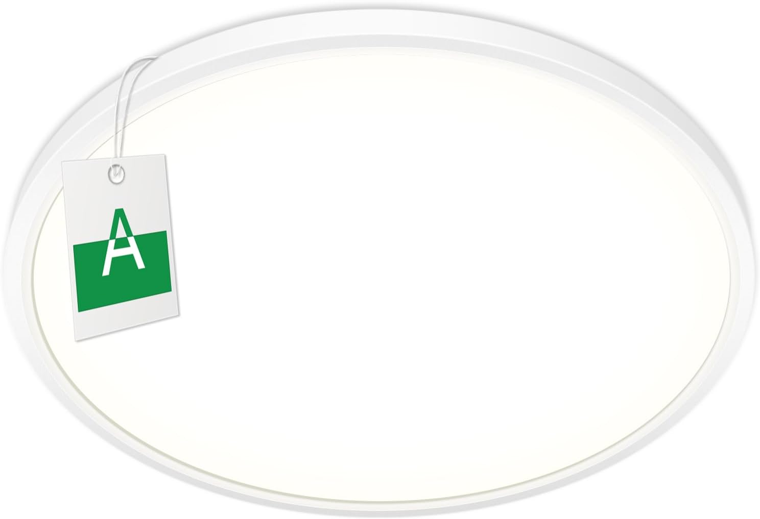 Vue 10