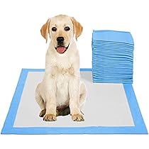 pee pads for potty training