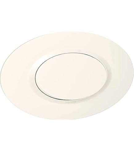 Legrand Deco 55: Presa Elettrica Da Superficie Con Terra, Completa Di Piastra Bianca