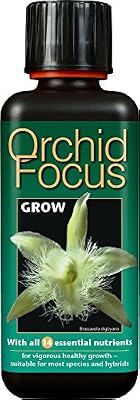 Growth Technology Engrais Liquide concentré de première qualité Orchid Focus Croissance 300ml
