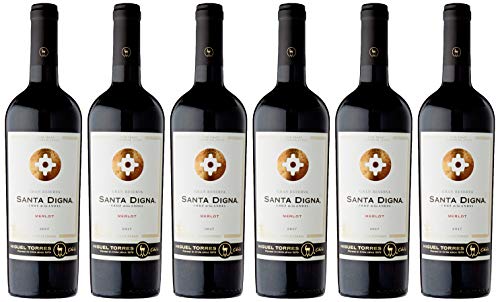 Santa Digna Merlot, Vino Tinto, 6 botellas de 75 cl - Total: 450 cl