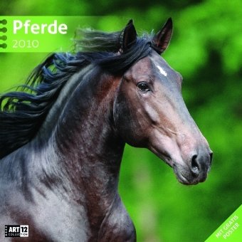 Pferde 30x30 cm 2010