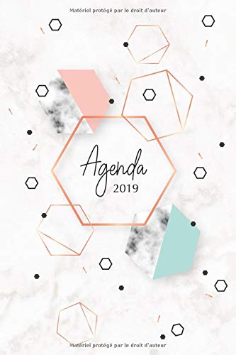 Télécharger Agenda 2019: Agenda Janvier à Décembre 2019, Semainier simple & graphique, motif marbre, rose & cu PDF Ebook En Ligne